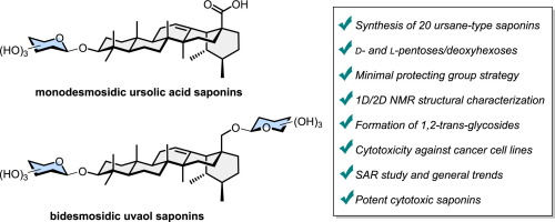 Bioorg_Med_Chem_2024