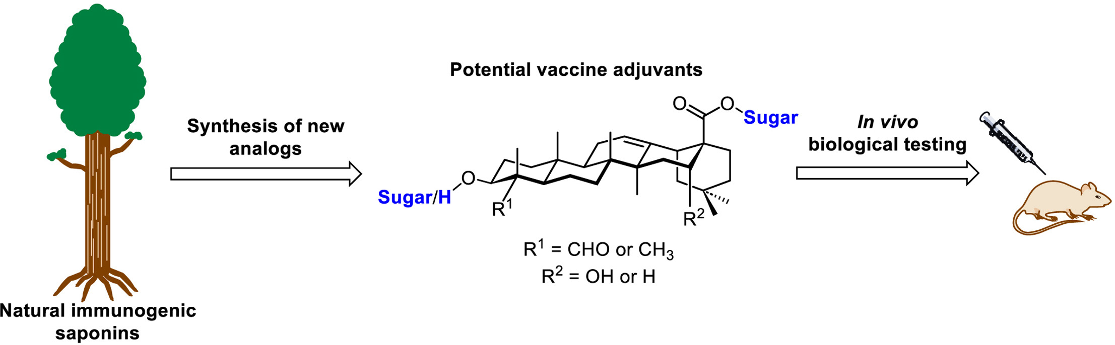 Carbohydr_Res_2023