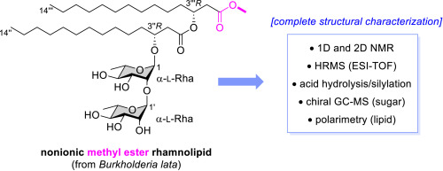 Carbohydr_Res_2023b