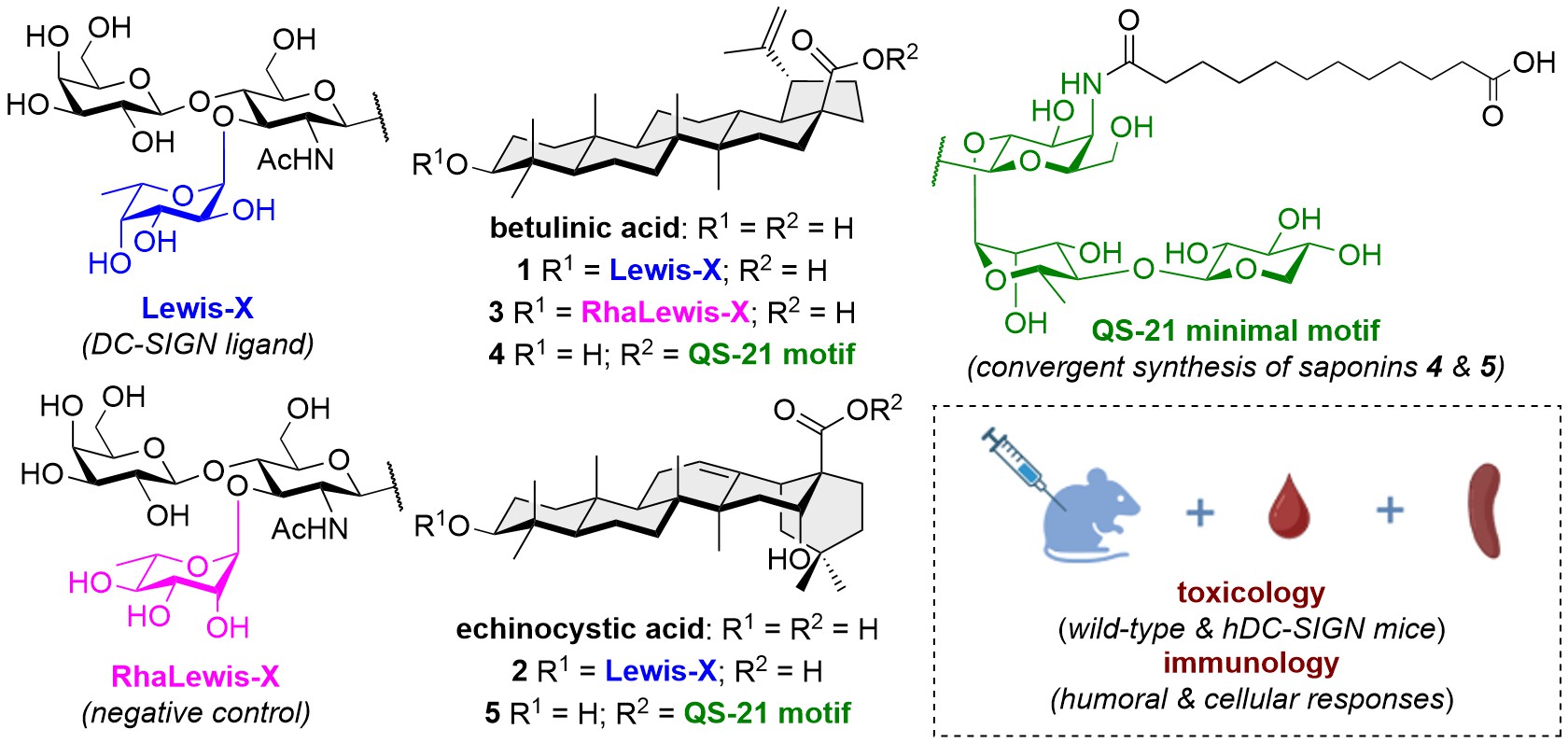 Chem_Eur_J_2025A